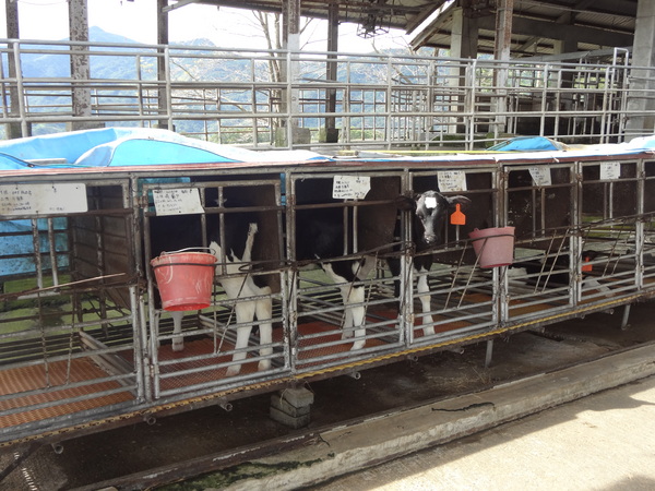 cm20131024___3b97ccae1f8362939ebec94ac2d