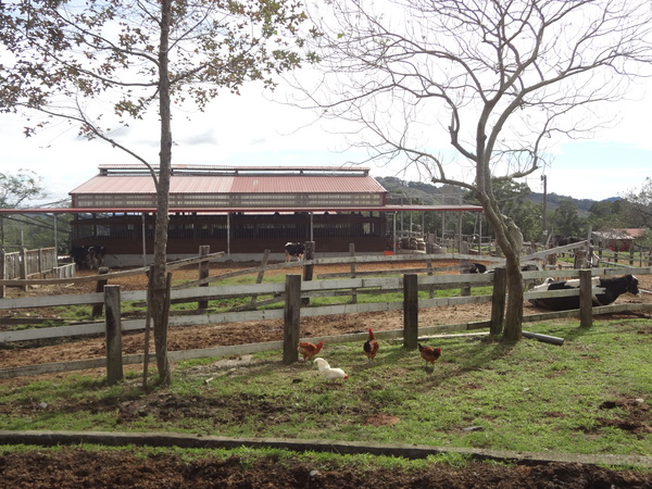 cm20131024___0f0f80219c269237d8646af71a0