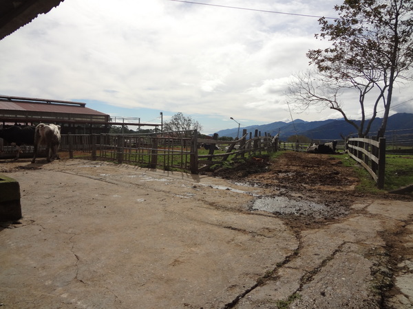 cm20131024___bcb257a09c128d60ccc2bccd2b0