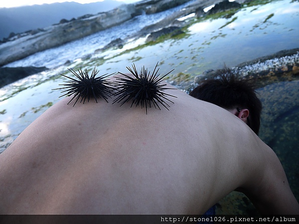 相片 13-9-1 上午1 36 05.jpg