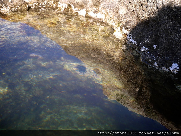 相片 13-9-1 上午1 34 23.jpg