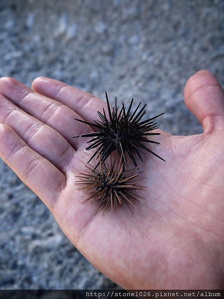 相片 13-9-1 上午1 34 39.jpg