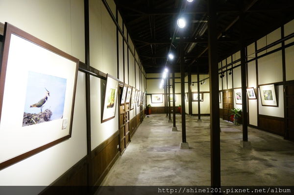 【花蓮旅遊景點】林田山 懷舊日式鐵道風情