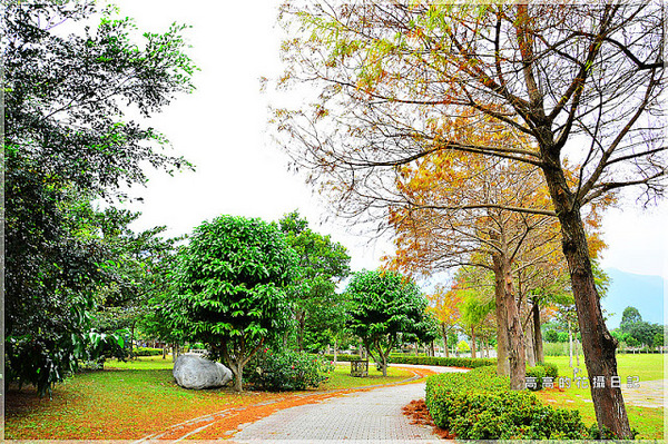 知卡宣森林公園：【花蓮】吉安鄉。知卡宣森林公園