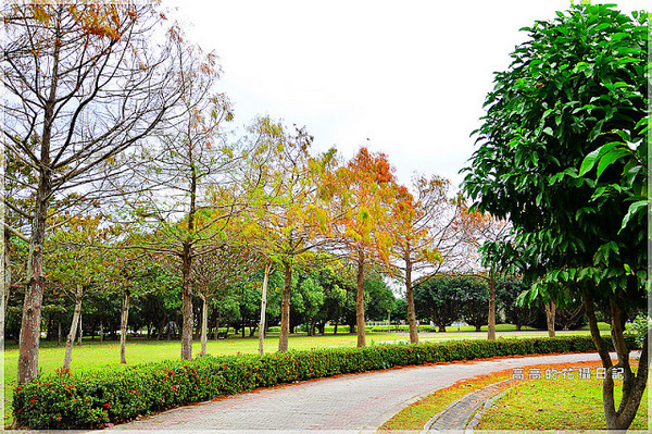 知卡宣森林公園：【花蓮】吉安鄉。知卡宣森林公園