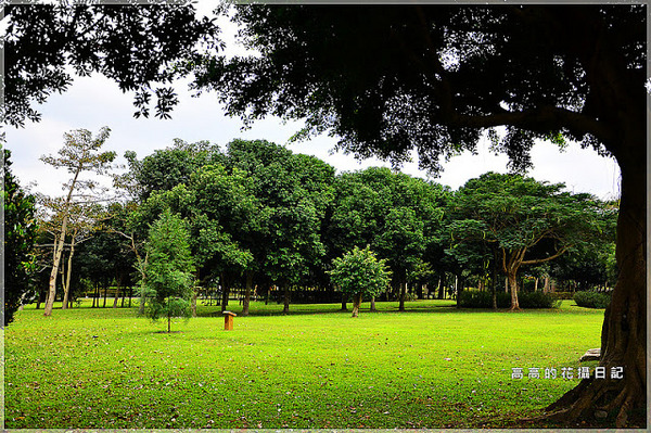 知卡宣森林公園：【花蓮】吉安鄉。知卡宣森林公園