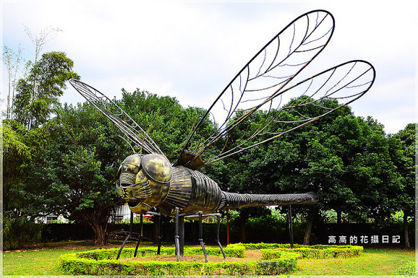 知卡宣森林公園：【花蓮】吉安鄉。知卡宣森林公園