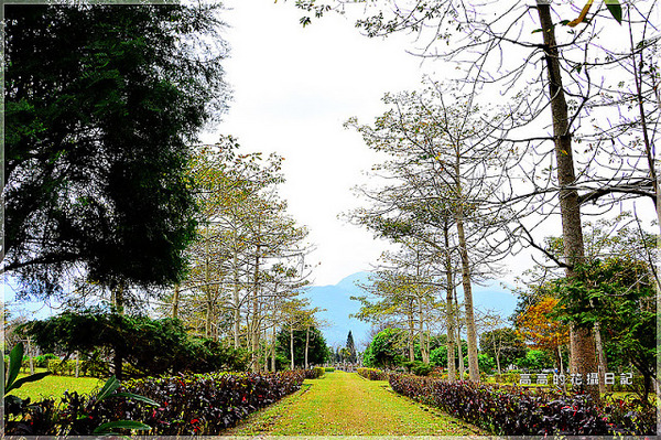 知卡宣森林公園：【花蓮】吉安鄉。知卡宣森林公園