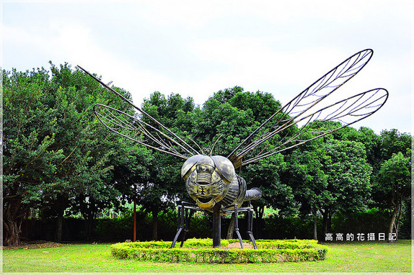 知卡宣森林公園：【花蓮】吉安鄉。知卡宣森林公園