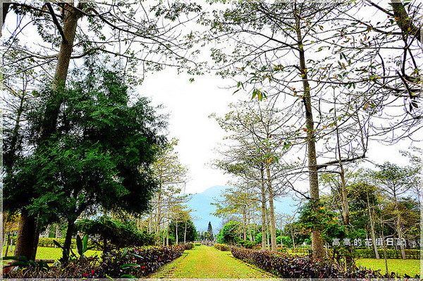 知卡宣森林公園：【花蓮】吉安鄉。知卡宣森林公園