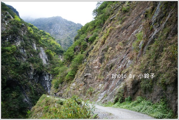 白楊步道：「白楊步道」七彩水簾洞尋找美猴王!!