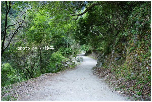 白楊步道：「白楊步道」七彩水簾洞尋找美猴王!!