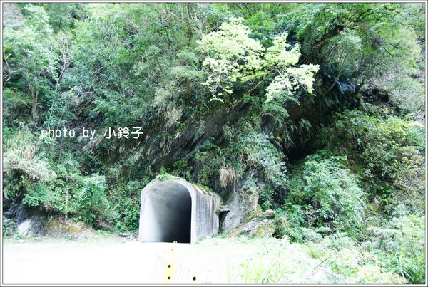 白楊步道：「白楊步道」七彩水簾洞尋找美猴王!!