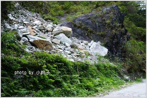 白楊步道：「白楊步道」七彩水簾洞尋找美猴王!!