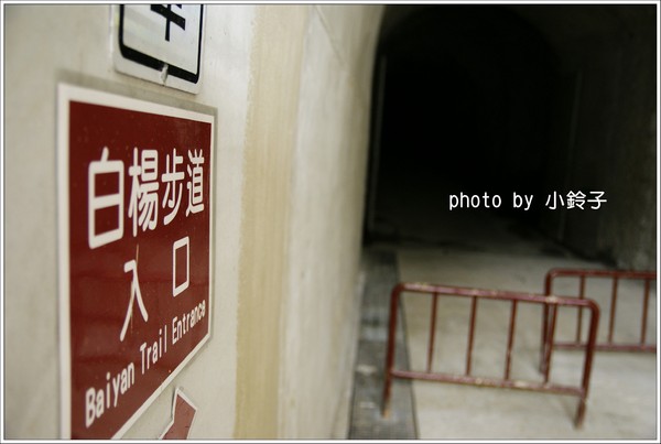 白楊步道：「白楊步道」七彩水簾洞尋找美猴王!!