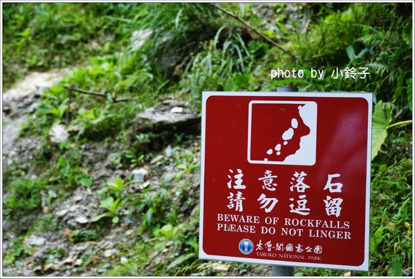 白楊步道：「白楊步道」七彩水簾洞尋找美猴王!!