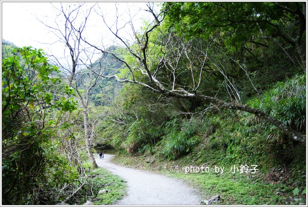 白楊步道：「白楊步道」七彩水簾洞尋找美猴王!!
