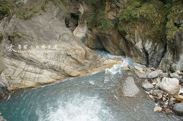 2014 太魯閣白楊步道