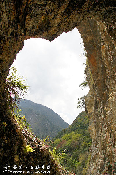 2014 太魯閣白楊步道