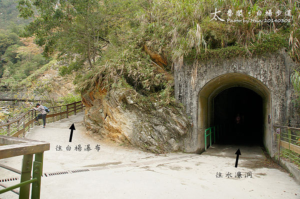2014 太魯閣白楊步道