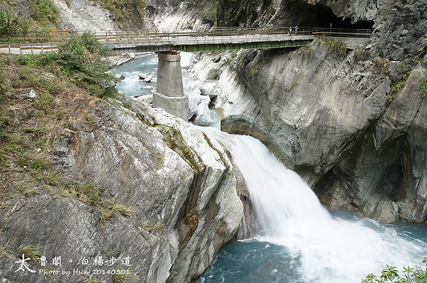 2014 太魯閣白楊步道