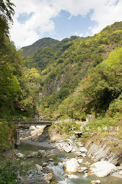 2014 太魯閣白楊步道