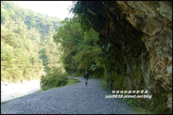 白楊步道13.JPG