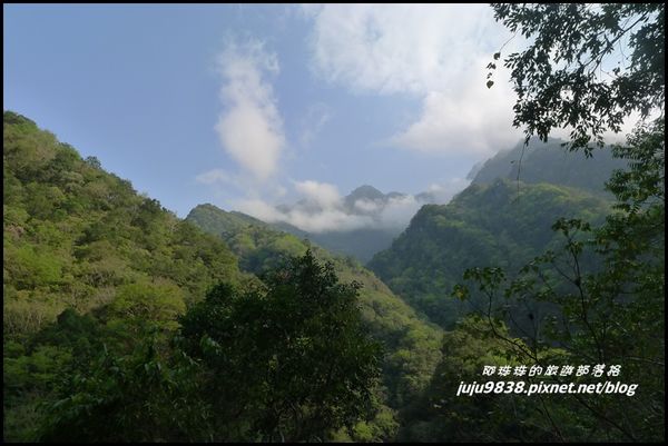 白楊步道41.JPG