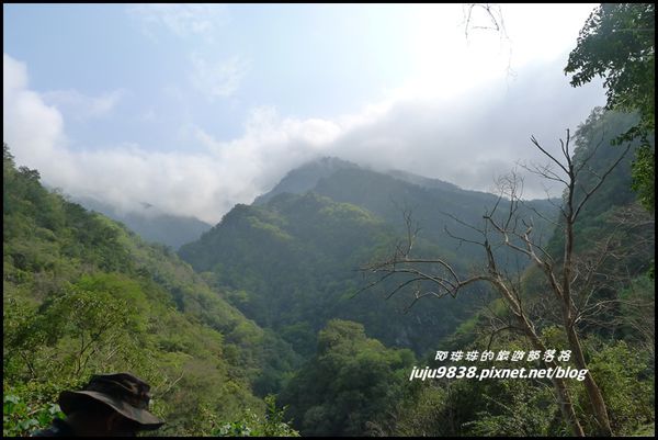 白楊步道15.JPG
