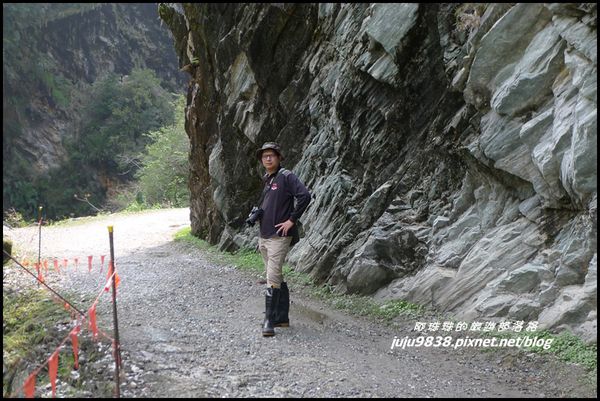 白楊步道23.JPG