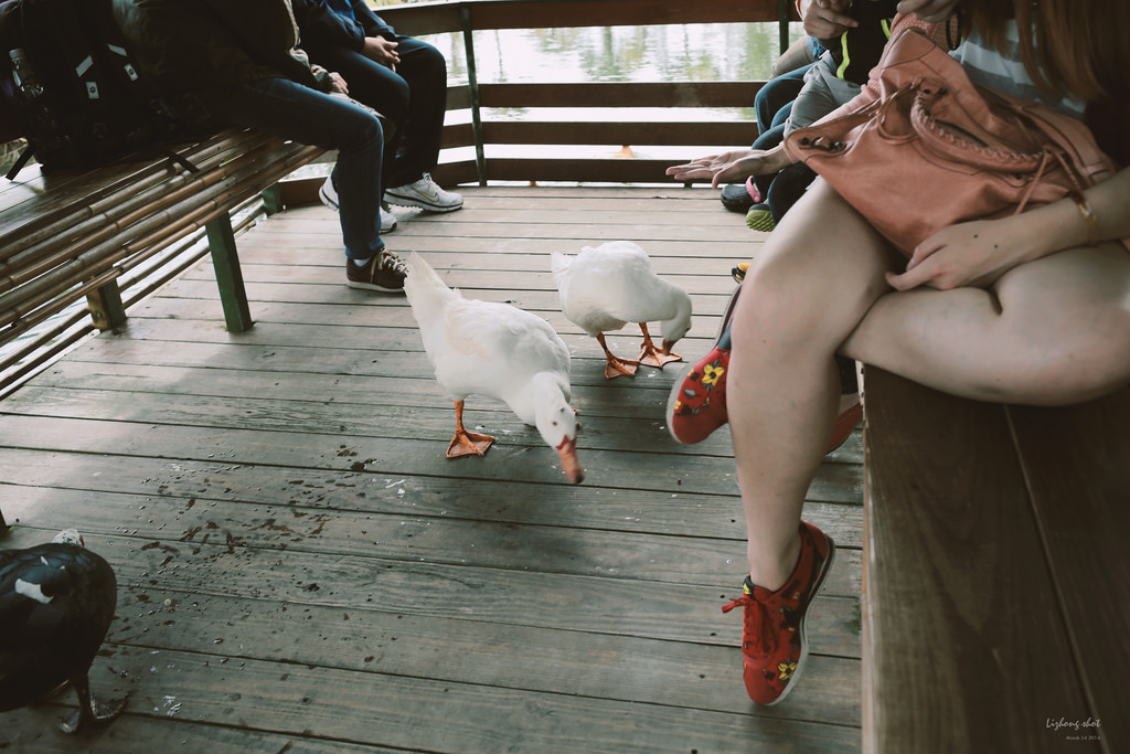 擁抱花蓮兩日的玩耍昏睡之旅