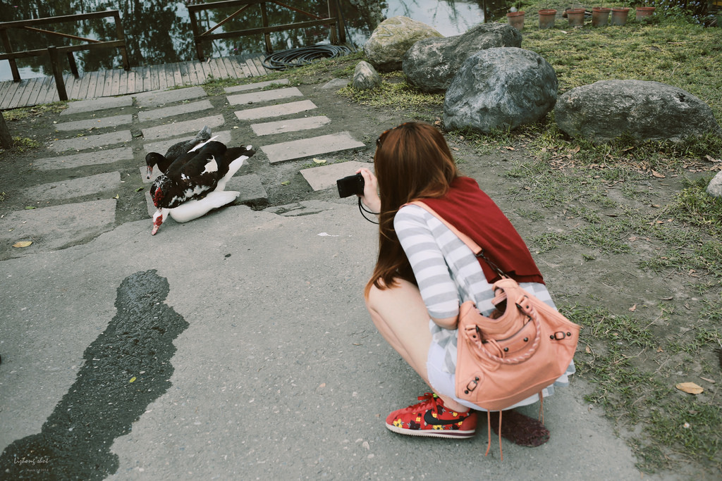 擁抱花蓮兩日的玩耍昏睡之旅