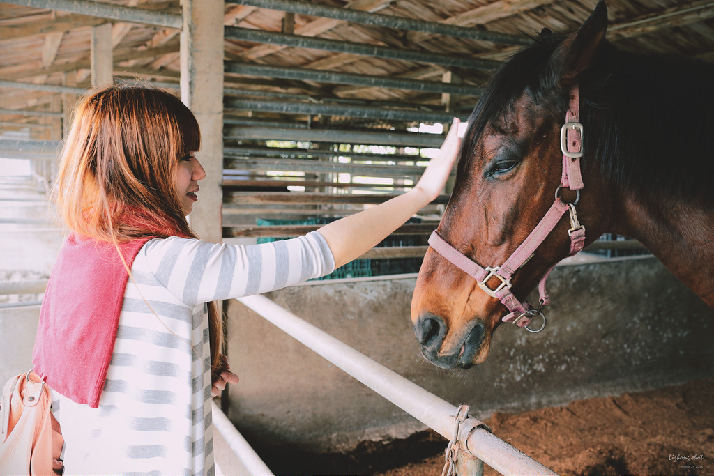 擁抱花蓮兩日的玩耍昏睡之旅