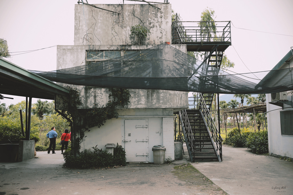 擁抱花蓮兩日的玩耍昏睡之旅