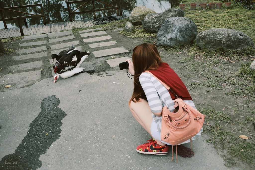 擁抱花蓮兩日的玩耍昏睡之旅