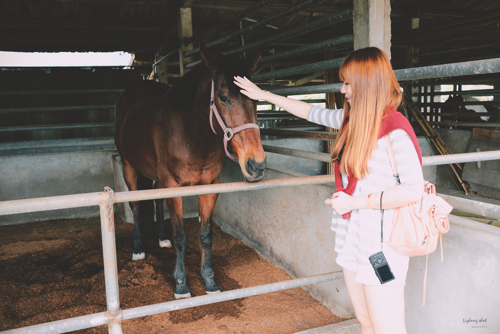 擁抱花蓮兩日的玩耍昏睡之旅