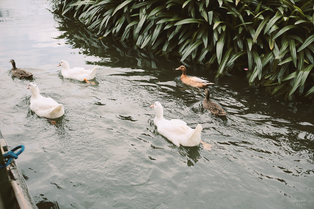 擁抱花蓮兩日的玩耍昏睡之旅