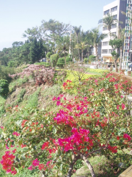 美侖濱海公園:花蓮【美侖濱海公園】真美