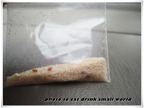 味珍香卜肉店：宜蘭特色小吃之一