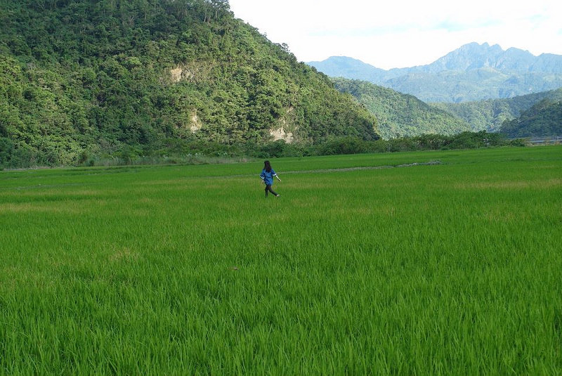 10622715_802021303152999_1421698361484730930_n