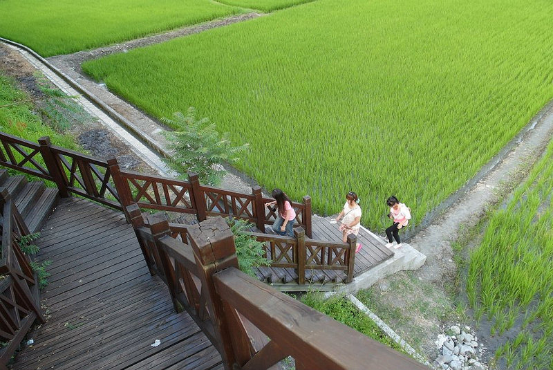 16098_802022656486197_2605268849335648874_n