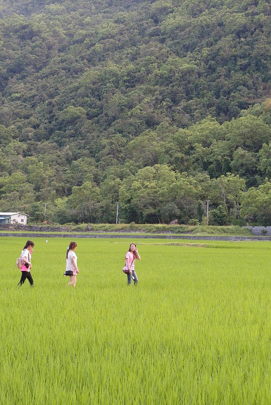 10612829_802022469819549_8036677648633202285_n