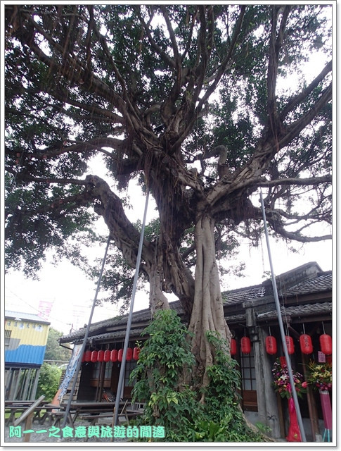 將軍府:花蓮景點 將軍府/南方文庫 日式宿舍群~在美崙溪畔感受陣陣和風