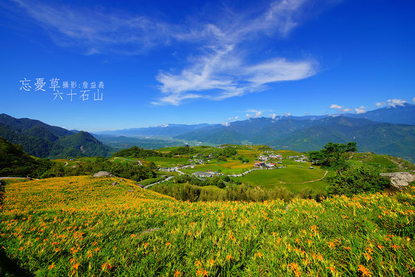 20140823六十石山金針花