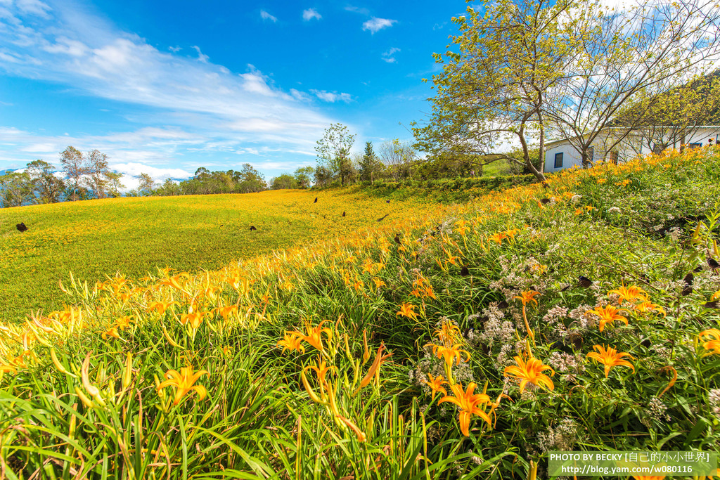 2014.Aug Hualien landscape