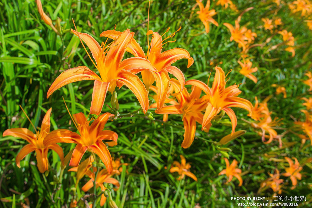 2014.Aug Hualien landscape