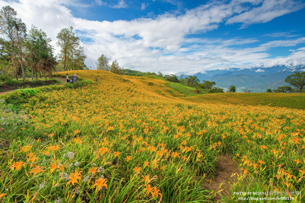 2014.Aug Hualien landscape