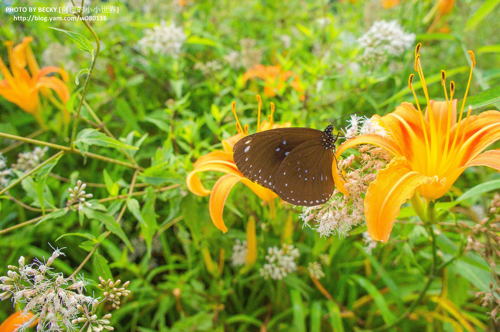 2014.Aug Hualien landscape