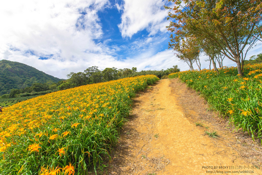 2014.Aug Hualien landscape