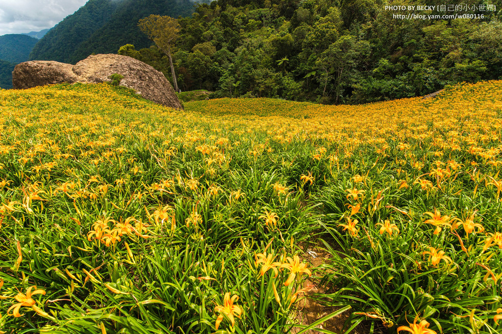 2014.Aug Hualien landscape